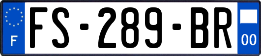 FS-289-BR
