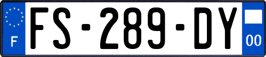 FS-289-DY