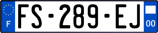 FS-289-EJ