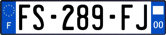 FS-289-FJ