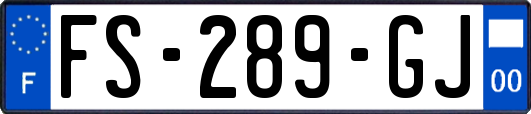 FS-289-GJ