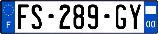 FS-289-GY