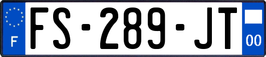 FS-289-JT