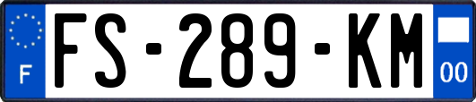 FS-289-KM