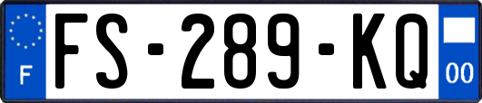 FS-289-KQ