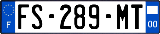 FS-289-MT