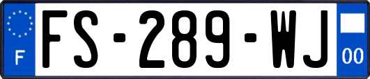 FS-289-WJ