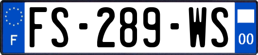 FS-289-WS