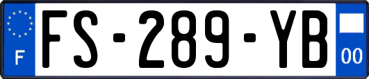 FS-289-YB