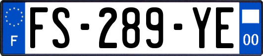 FS-289-YE