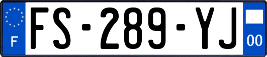 FS-289-YJ