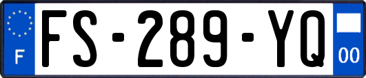 FS-289-YQ