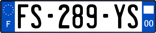 FS-289-YS