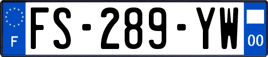 FS-289-YW