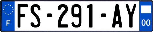 FS-291-AY