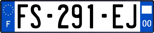 FS-291-EJ