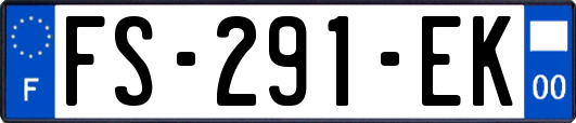 FS-291-EK