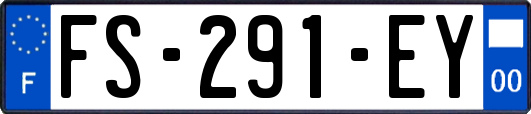 FS-291-EY