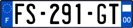 FS-291-GT