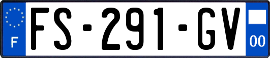 FS-291-GV