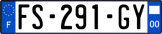 FS-291-GY
