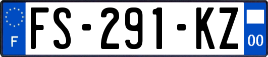 FS-291-KZ