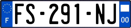 FS-291-NJ
