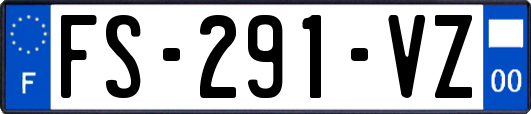 FS-291-VZ