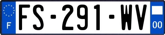 FS-291-WV