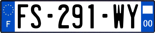 FS-291-WY