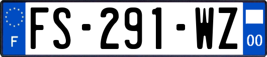 FS-291-WZ