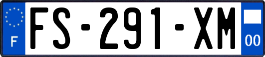 FS-291-XM