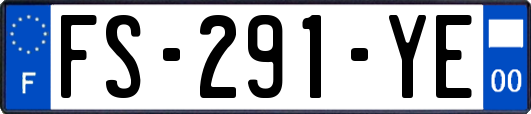 FS-291-YE