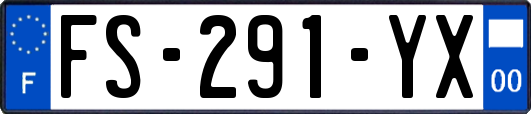 FS-291-YX