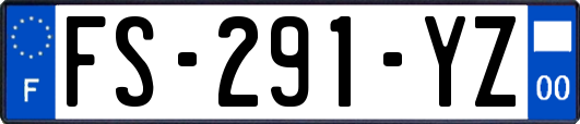 FS-291-YZ