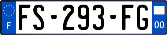 FS-293-FG