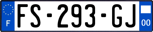 FS-293-GJ