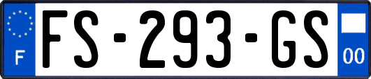 FS-293-GS