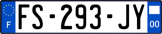FS-293-JY