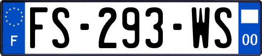 FS-293-WS