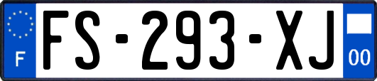 FS-293-XJ