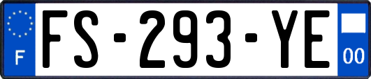 FS-293-YE