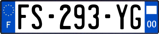 FS-293-YG