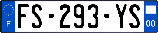 FS-293-YS