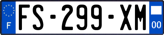 FS-299-XM