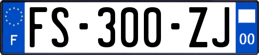 FS-300-ZJ