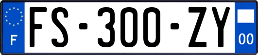 FS-300-ZY