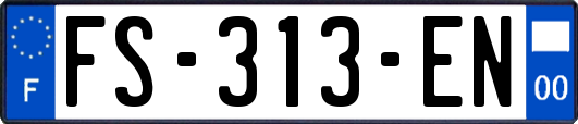 FS-313-EN