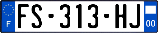 FS-313-HJ