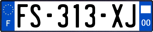 FS-313-XJ